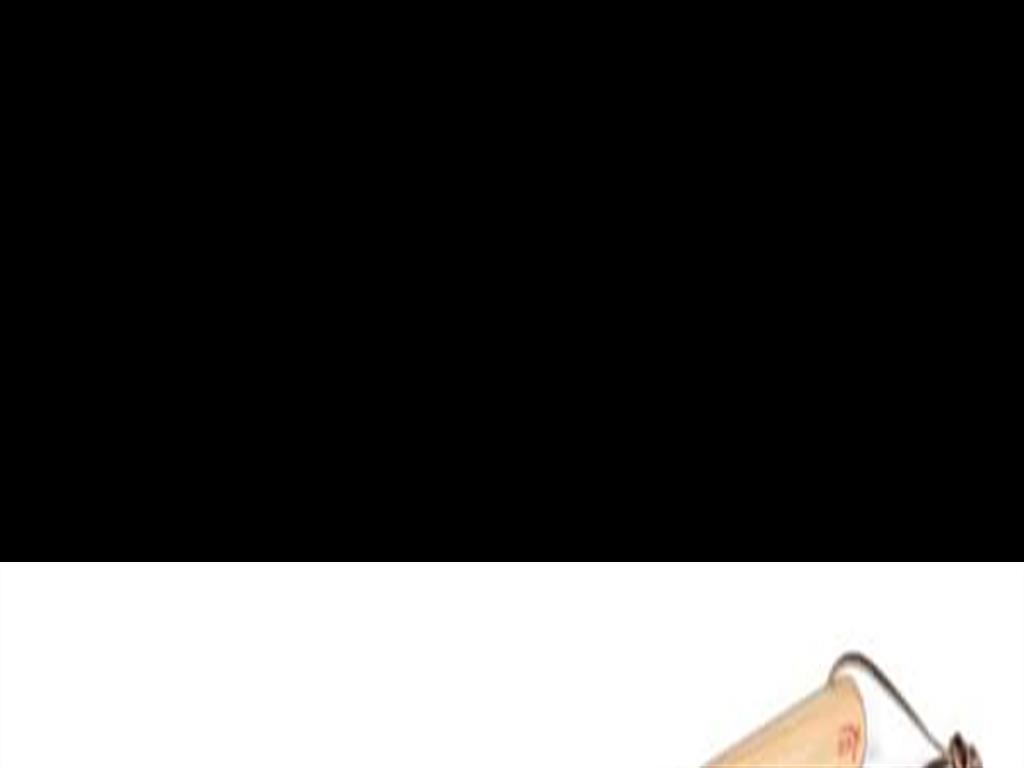 biggreeneggpigtailmeatflipper