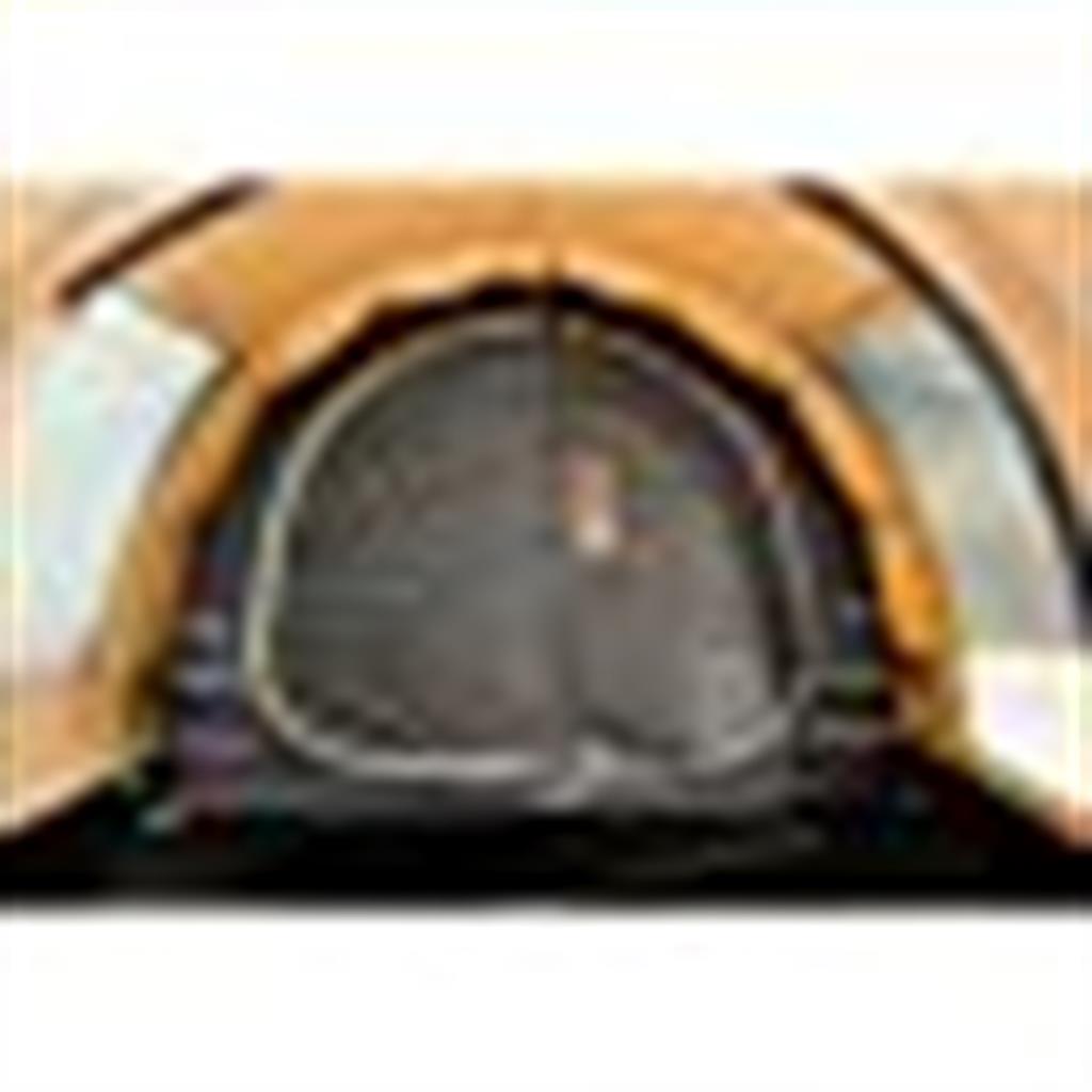 bardanimustang260rstctunneltentcabinesdicht-veneboer-camping-drachten-tent