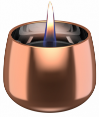 300037_tenderflame_crocus_rose_be_600x315