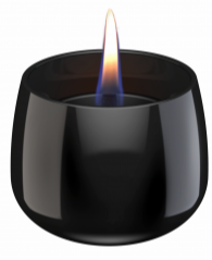 300038_crocus_black_10_cm_be600x315