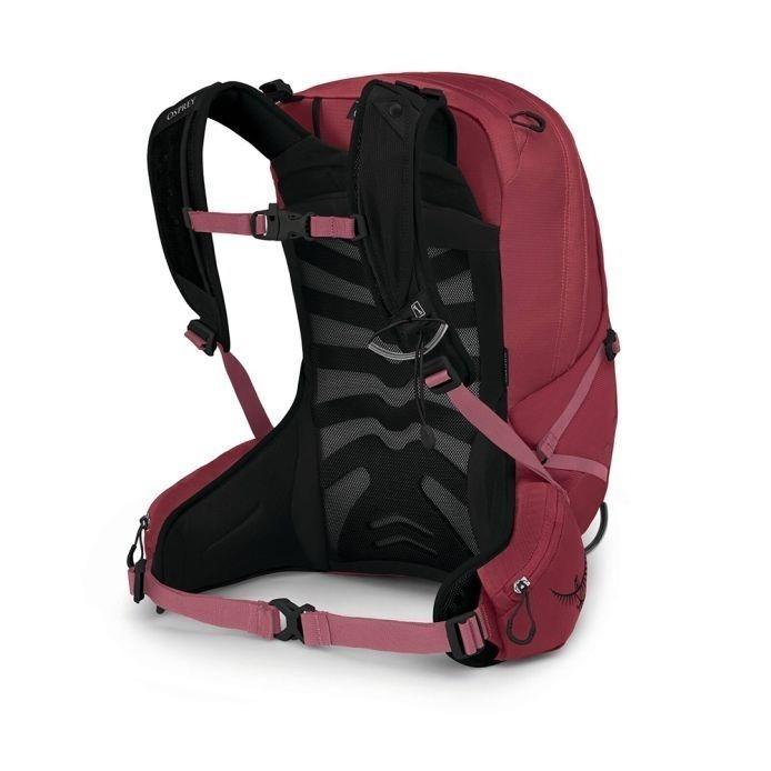 ospreytempest20kakiomanukapinkwmlveneboer2