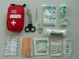 Monarch Ook dinsdag Care Plus First Aid Kit Basic | Veneboer Camping & Outdoor