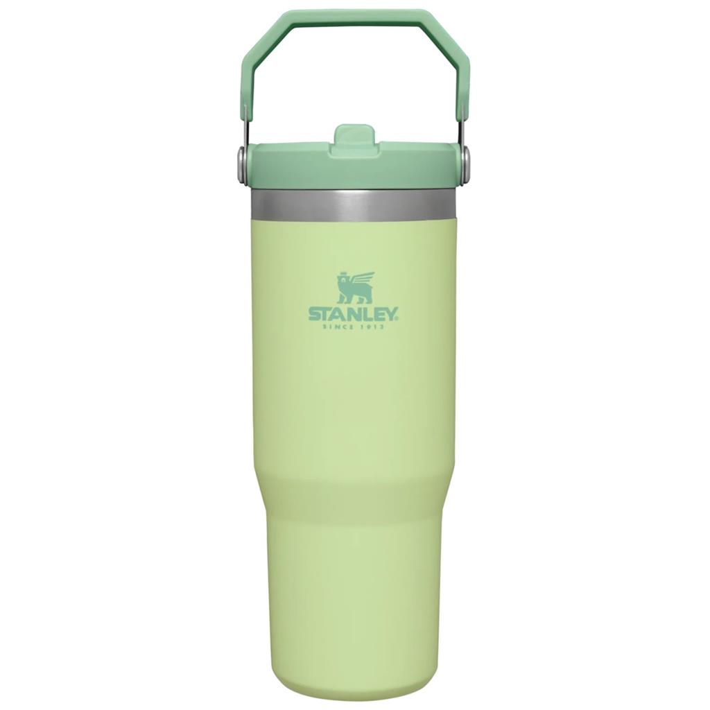 stanleytheiceflow™flipstrawtumbler089lcitronveneboer
