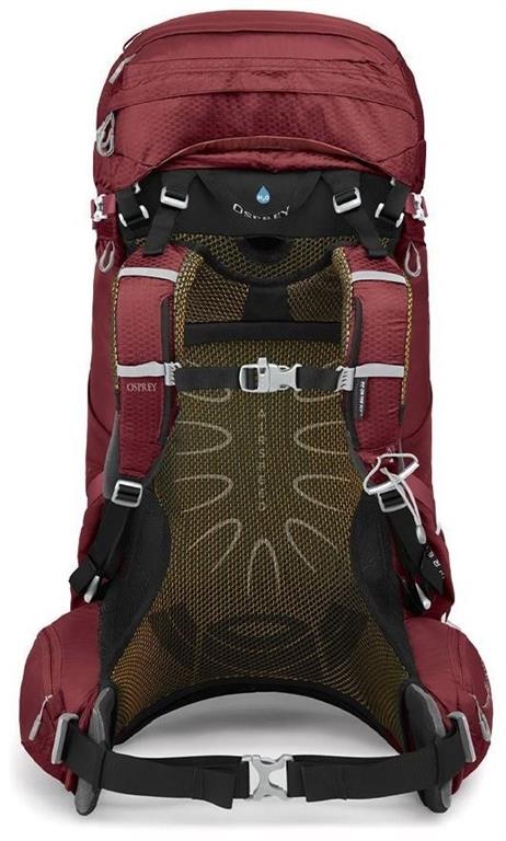 ospreyauraag65berrysorbetred3