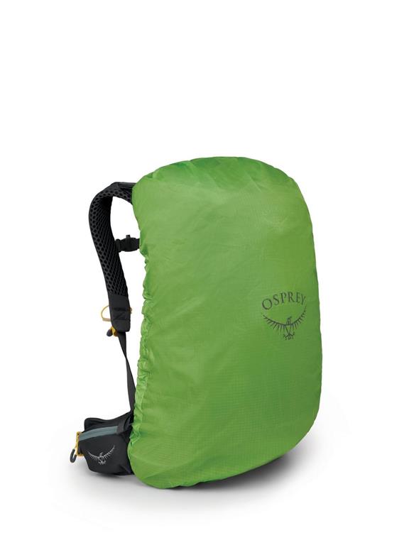 ospreysirrus24ossucculentgreen3