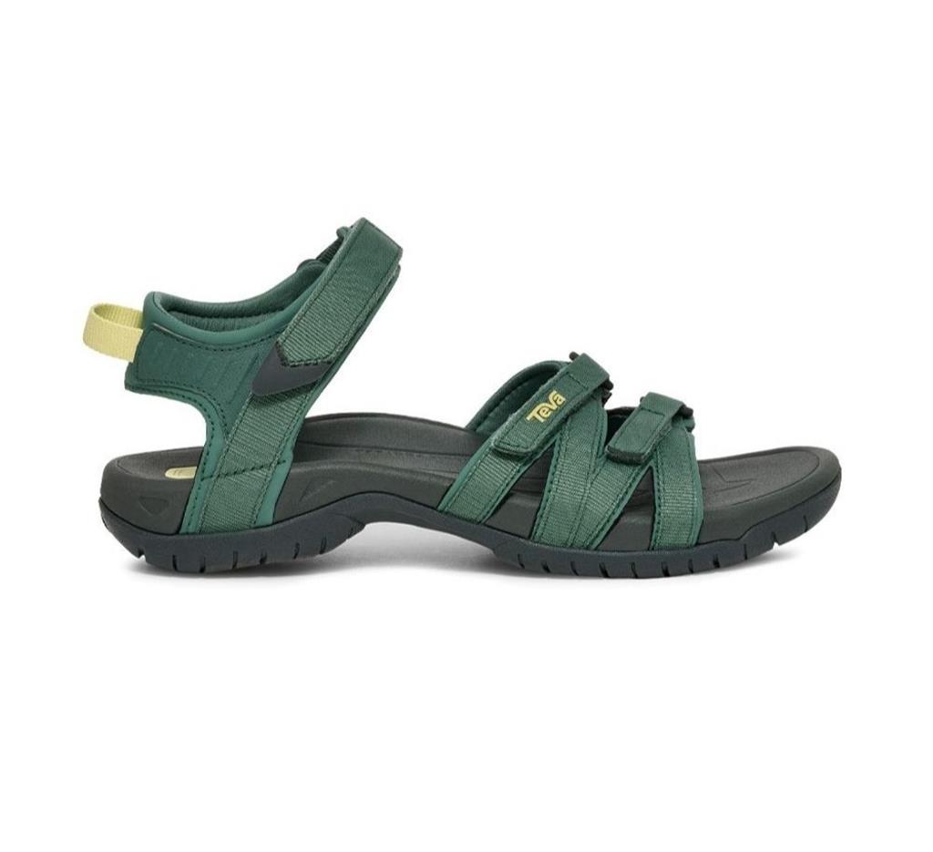 tevatirrawsilverpineveneboer_1