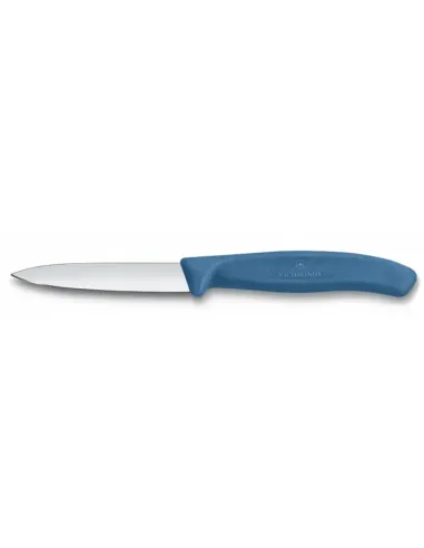 schilmesjevictorinoxswissclassicgladspits8cm