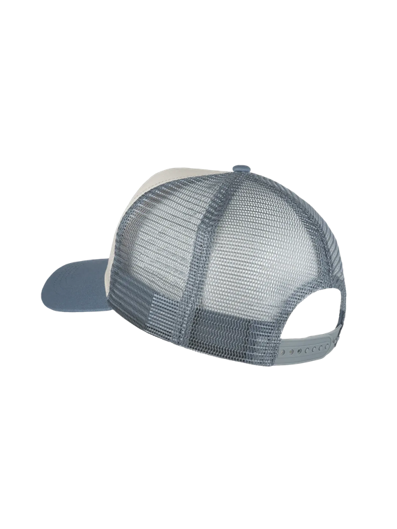 3da35fca5aef42ce80dc6ef041e1160f1250x