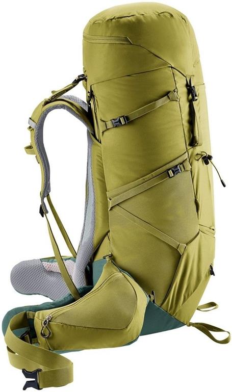 deuteraircontactcore60plus10cactusivy3