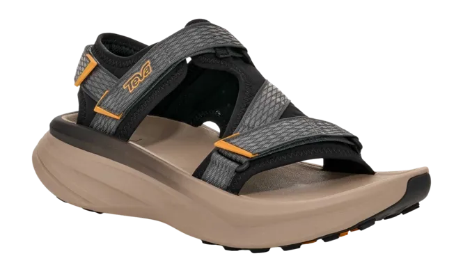 229644231172830bsfl2